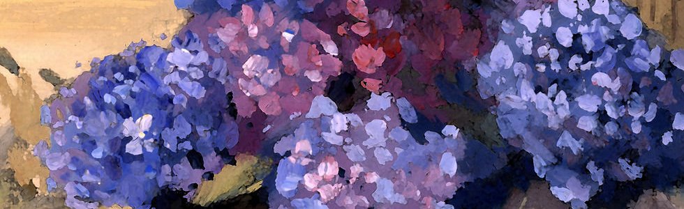 Blooms in a Bucket