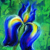 Iris II