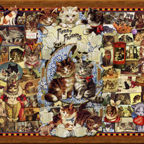 Kitty Cat Follies