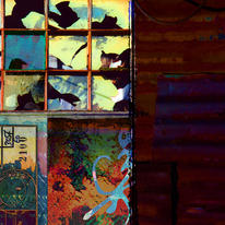 hidden My Minds Window