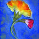 Carnation