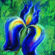 Iris II