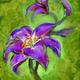Lily