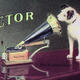 Victor Music | | | illustration Victor Music