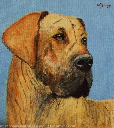 Great Dane 