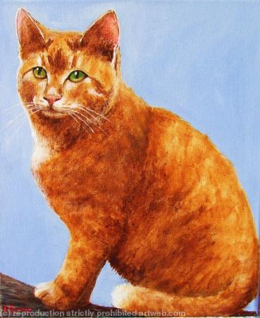 Ginger Cat