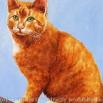 Ginger Cat