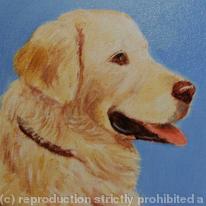 Retriever 