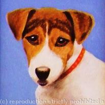 Jack Russell 