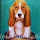 Bobby Basset