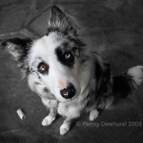 I wear my heart on my nose