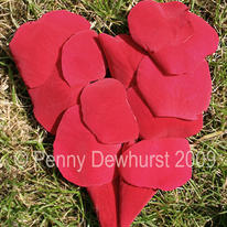 Rose petal heart