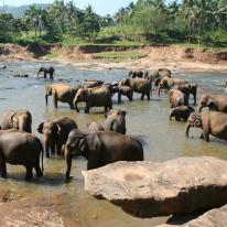 Watering Hole 2