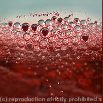 Celebration - Red