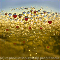 Celebration - Gold