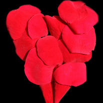 Red rose petal heart