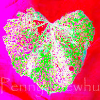 Fragile Heart2