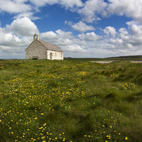 Church in the sea surrounded by buttercups