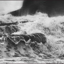 Storm Wave