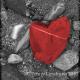 Heart-breaking | | | Heart-breaking