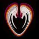 Orchid Heart