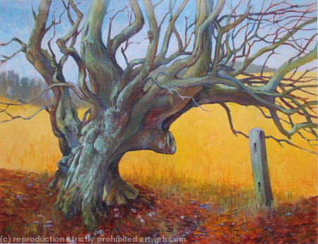 The Old Tree