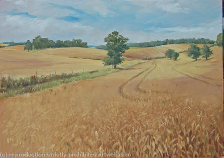 Valley of the Old Bourne, Herts