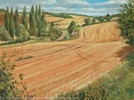 Valley of the Rib from Cold Christmas