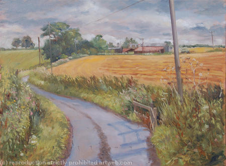 Towards Walkern Lane Farm