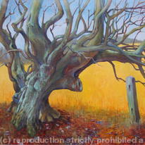 The Old Tree