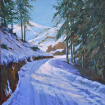 Snowy road with pines