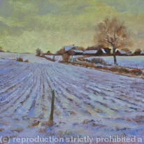 Norfolk Snow