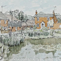 The pond at Woolmer Green