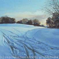 Snow at Stanborough Park