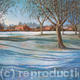 Frosty morning, Ayot…