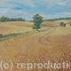 Valley of the Old Bourne,…
