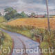 Towards Walkern Lane…