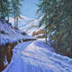 Snowy road with pines