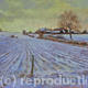 Norfolk Snow