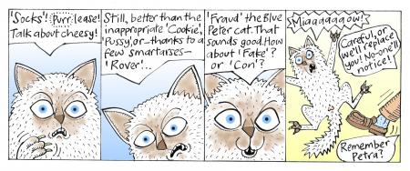 Cookie (Media Tarts, The Guardian)