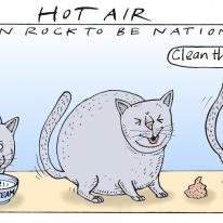 Northern Rock (Hot Air, The Observer)