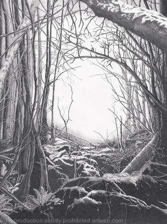 Puzzlewood