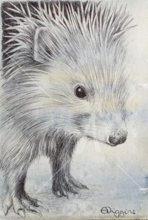 Hedgehog
