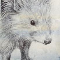 Hedgehog