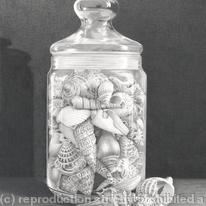 Jar of Shells