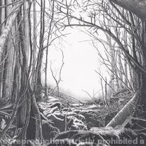 Puzzlewood