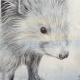 Hedgehog