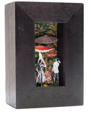 The Fungi Quandrum