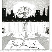 Urban Renewal