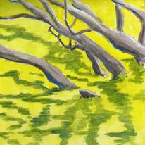 M. Richard's trees 17.VIII.09